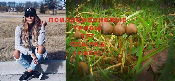 трава Куйбышев