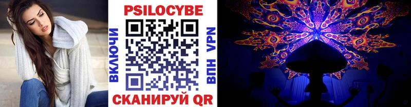 Псилоцибиновые грибы Psilocybine cubensis  Купить закладки  Лукоянов 